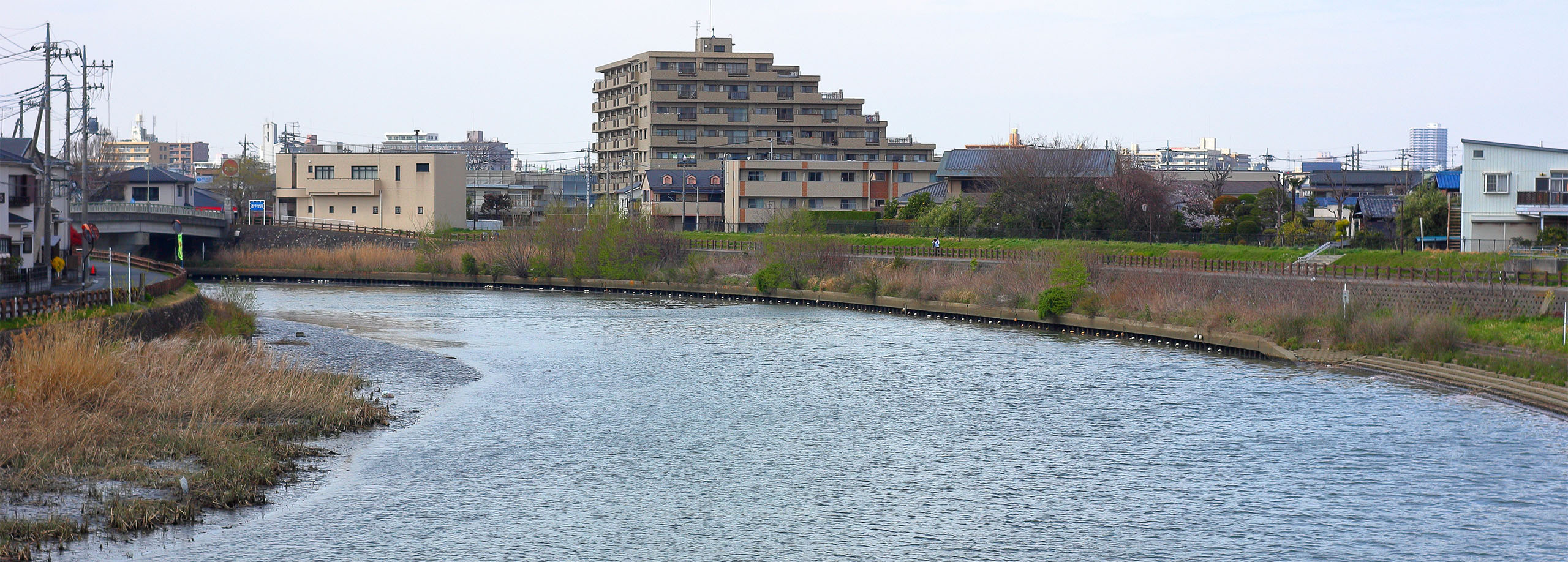 水質ワースト入り常連 綾瀬川 は 今や キレイな川 へ Saitamaリバーサポーターズ