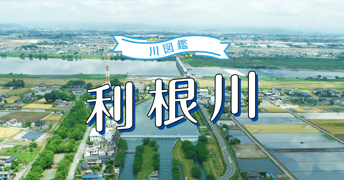 利根川】流域面積は埼玉4つ分以上！規模も歴史も規格外な「川のボス