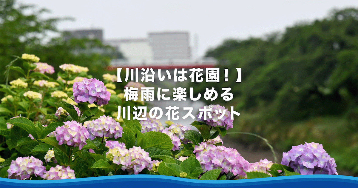 mag_240612_ogimage.png